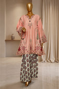 Blush Bloom – Embroidered A-Line 2PC